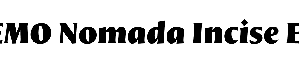  DEMO Nomada Incise Extrablack Italic