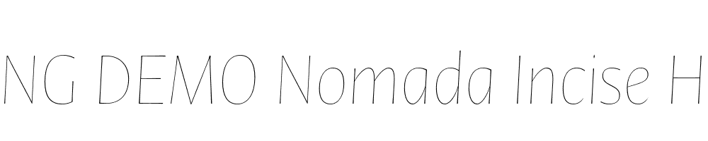  DEMO Nomada Incise Hairline Italic