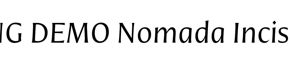  DEMO Nomada Incise Light Italic