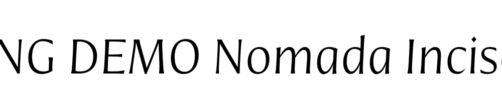  DEMO Nomada Incise Thin Italic