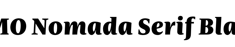 FSP DEMO Nomada Serif Black Italic