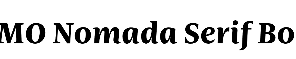 FSP DEMO Nomada Serif Bold Italic