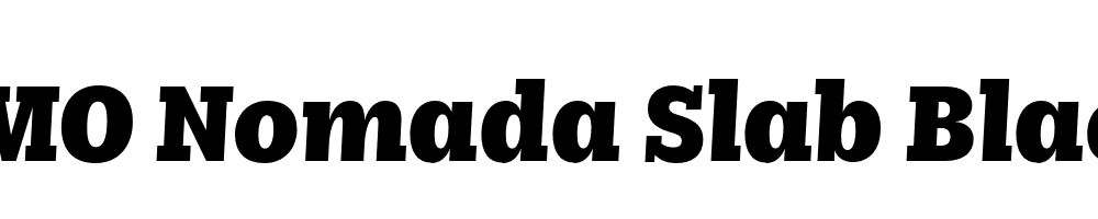 FSP DEMO Nomada Slab Black Italic