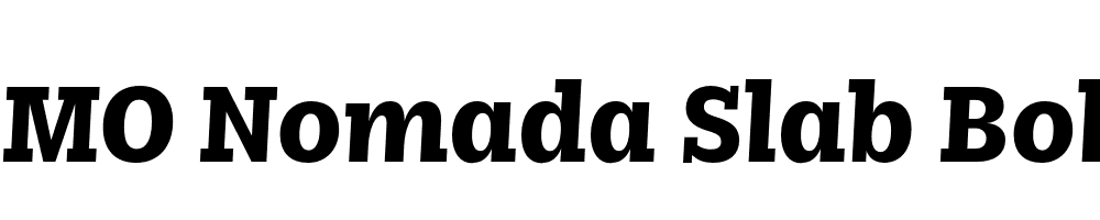 FSP DEMO Nomada Slab Bold Italic