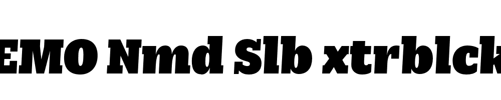 FSP DEMO Nmd Slb xtrblck Italic