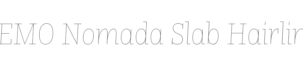 FSP DEMO Nomada Slab Hairline Italic