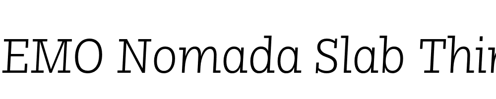 FSP DEMO Nomada Slab Thin Italic