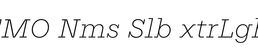 FSP DEMO Nms Slb xtrLght Italic