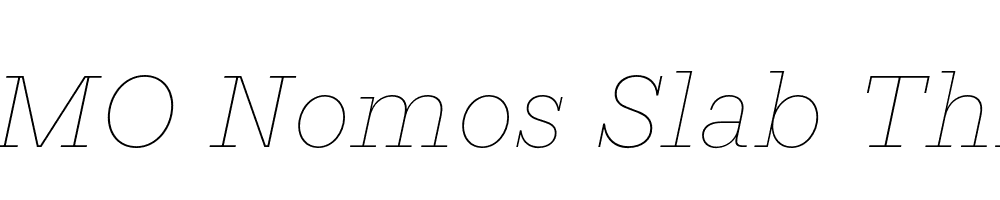 FSP DEMO Nomos Slab Thin Italic