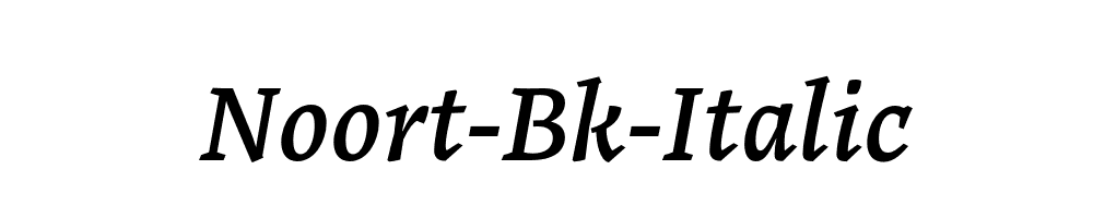 Noort-Bk-Italic