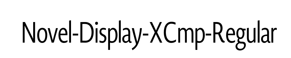 Novel-Display-XCmp-Regular