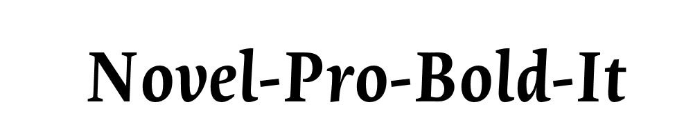 Novel-Pro-Bold-It