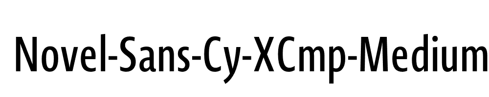 Novel-Sans-Cy-XCmp-Medium