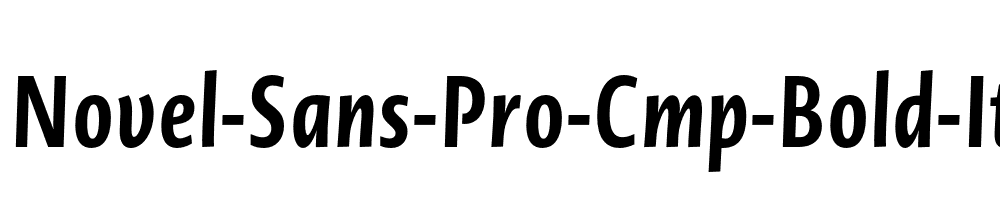 Novel-Sans-Pro-Cmp-Bold-It