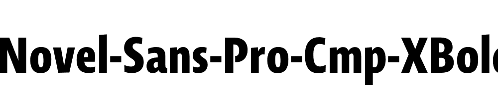 Novel-Sans-Pro-Cmp-XBold
