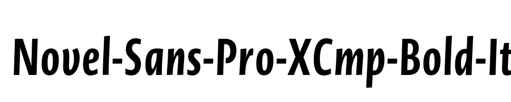 Novel-Sans-Pro-XCmp-Bold-It