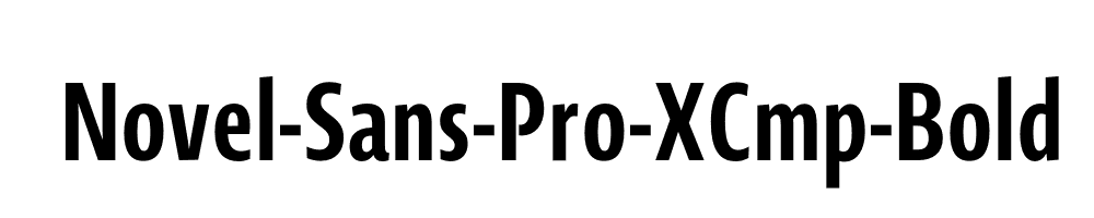 Novel-Sans-Pro-XCmp-Bold