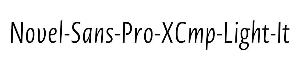 Novel-Sans-Pro-XCmp-Light-It