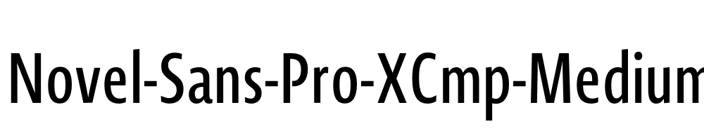 Novel-Sans-Pro-XCmp-Medium