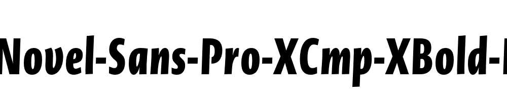 Novel-Sans-Pro-XCmp-XBold-It