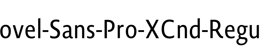 Novel-Sans-Pro-XCnd-Regular