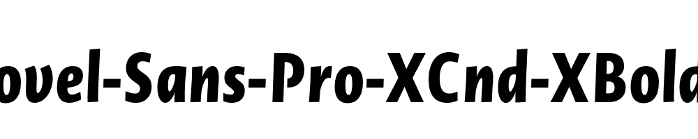 Novel-Sans-Pro-XCnd-XBold-It