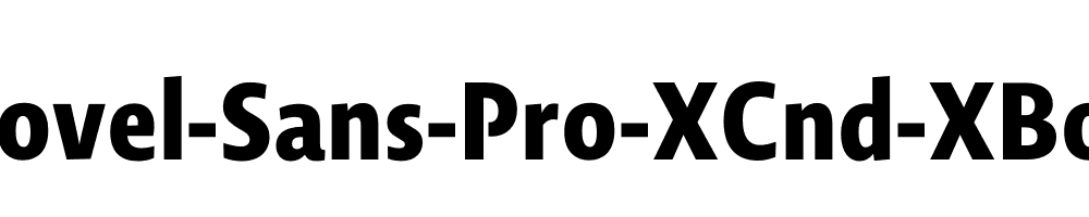 Novel-Sans-Pro-XCnd-XBold