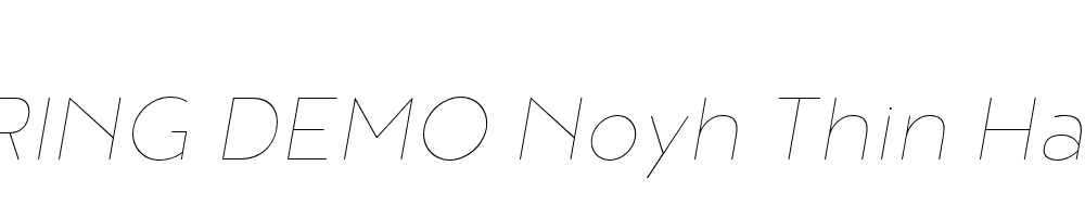  DEMO Noyh Thin Hairline Italic