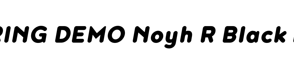  DEMO Noyh R Black Bold Italic