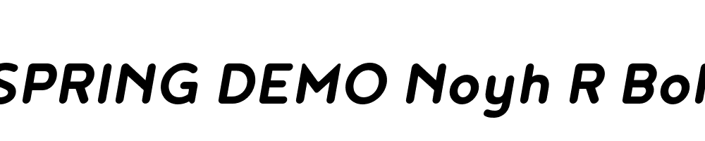  DEMO Noyh R Bold Italic