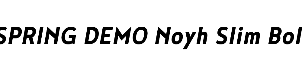  DEMO Noyh Slim Bold Italic