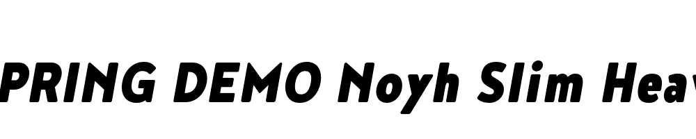  DEMO Noyh Slim Heavy Italic