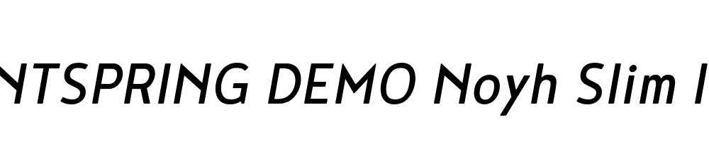  DEMO Noyh Slim Italic