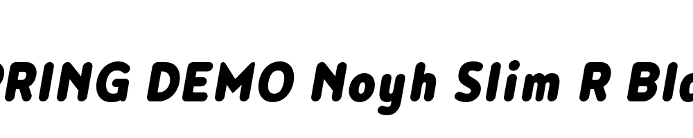  DEMO Noyh Slim R Black Italic