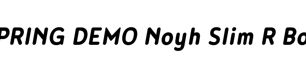  DEMO Noyh Slim R Bold Italic