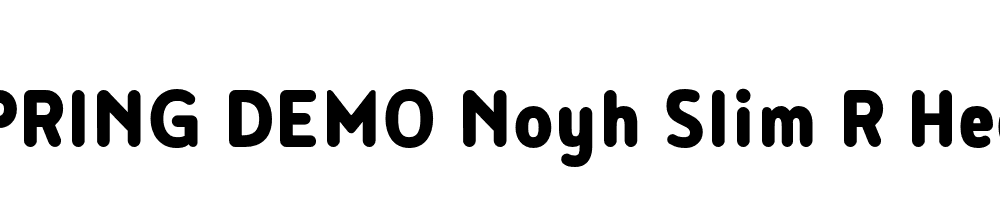  DEMO Noyh Slim R Heavy Bold