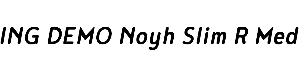  DEMO Noyh Slim R Med Bold Italic