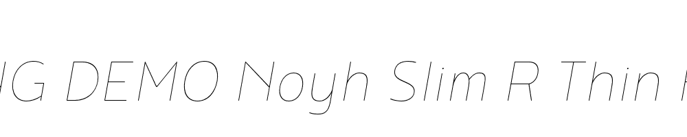  DEMO Noyh Slim R Thin Hairline Italic