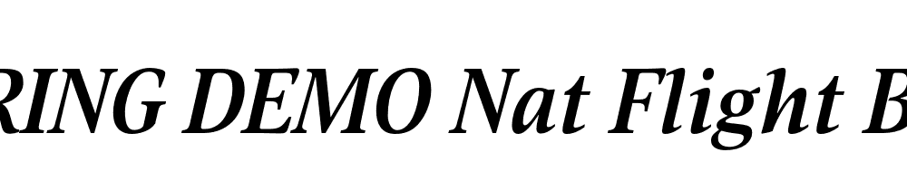  DEMO Nat Flight Bold Italic