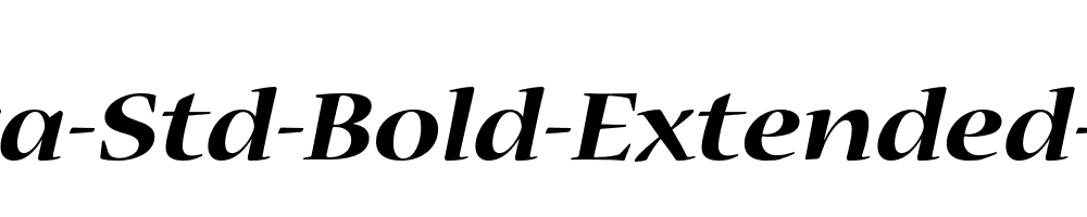 Nueva-Std-Bold-Extended-Italic