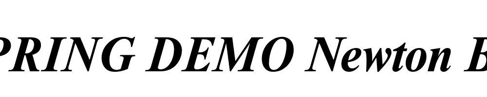  DEMO Newton Bold Italic