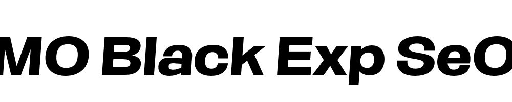 FSP DEMO Black Exp SeObli Italic