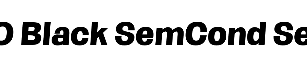 FSP DEMO Black SemCond SeObli Italic