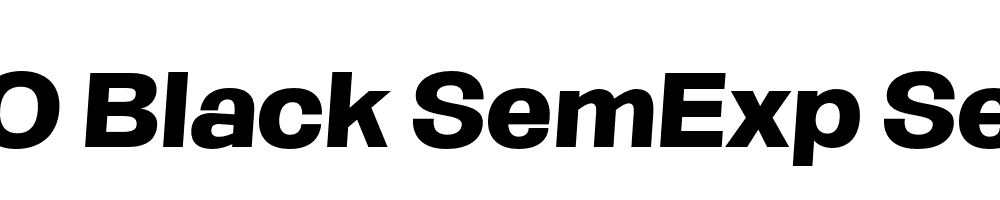 FSP DEMO Black SemExp SeObli Italic