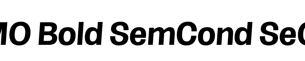 FSP DEMO Bold SemCond SeObli Italic