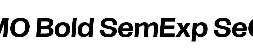 FSP DEMO Bold SemExp SeObli Italic