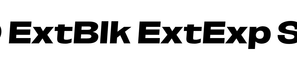 FSP DEMO ExtBlk ExtExp SeObli Italic