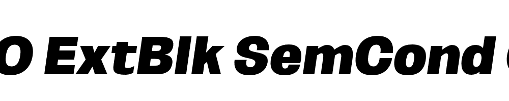 FSP DEMO ExtBlk SemCond Obli Italic