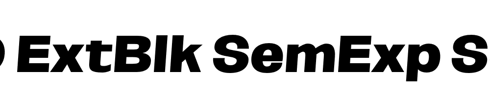 FSP DEMO ExtBlk SemExp SeObli Italic