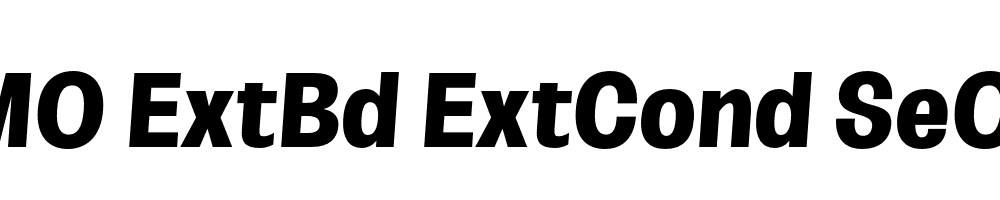 FSP DEMO ExtBd ExtCond SeObli Italic